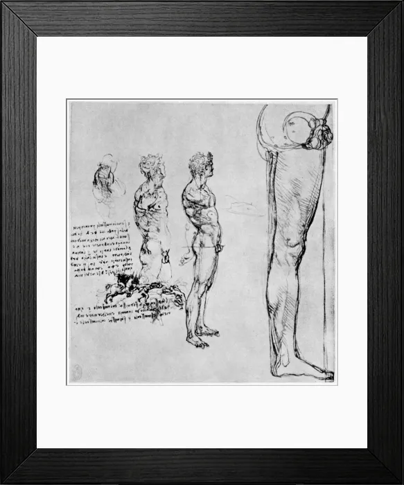 Framed Print : Nude studies for The Battle of Anghiari, c1503-1505 (1954). Artist: Leonardo da Vinci Framed Print : Nude studies for The Battle of Anghiari, c1503-1505 (1954). Artist: Leonardo da Vinci