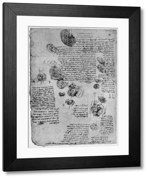 Framed Print : Diagram of the blood vortex in the heart, late 15th or early 16th century (1954). Artist: Leonardo da Vinci Framed Print : Diagram of the blood vortex in the heart, late 15th or early 16th century (1954). Artist: Leonardo da Vinci