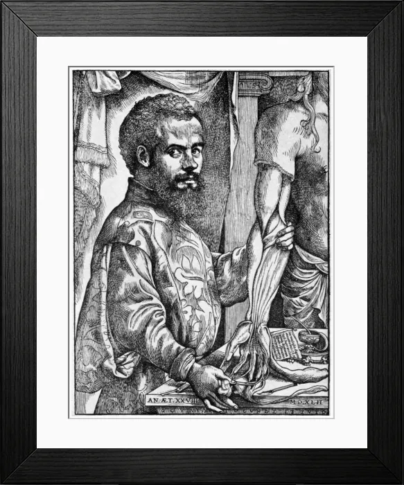 Framed Print : Andreas Vesalius, 16th century Flemish anatomist, 1954 Framed Print : Andreas Vesalius, 16th century Flemish anatomist, 1954