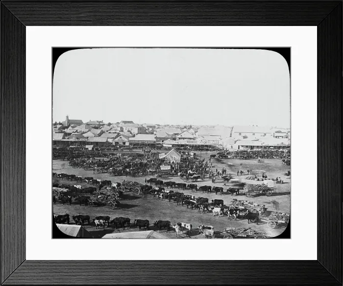 Framed Print : Morning market, Kimberley, South Africa, c1890 Framed Print : Morning market, Kimberley, South Africa, c1890