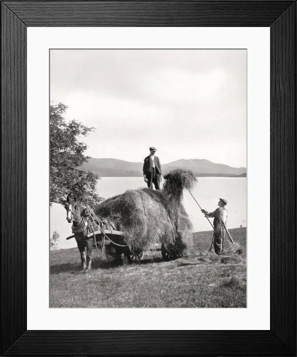Framed Print : Loading hay onto a wagon on the shores of Loch Lomond, Scotland, 1924-1926. Artist: Donald McLeish Framed Print : Loading hay onto a wagon on the shores of Loch Lomond, Scotland, 1924-1926. Artist: Donald McLeish