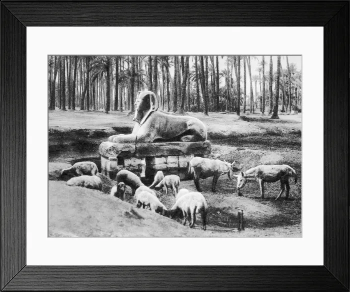 Framed Print : The Alabaster Sphinx, Cairo, Egypt, c1920s Framed Print : The Alabaster Sphinx, Cairo, Egypt, c1920s