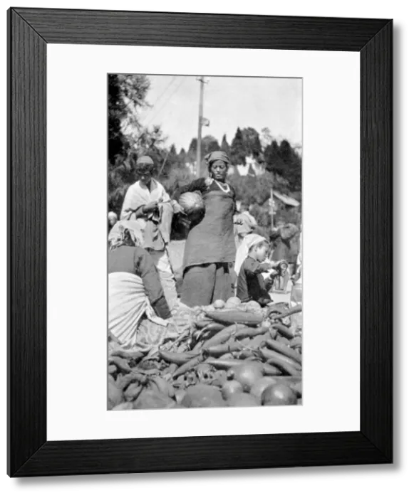 Framed Print : A food market in Darjeeling, West Bengal, India, c1910 Framed Print : A food market in Darjeeling, West Bengal, India, c1910