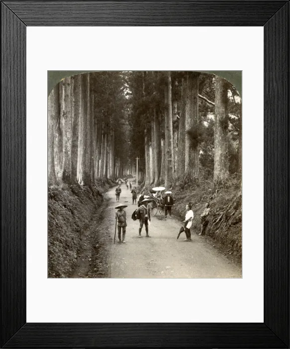 Framed Print : The groves were Gods first temples, avenue of noble cryptomerias at Nikko, Japan, 1904. Artist: Underwood & Underwood Framed Print : The groves were Gods first temples, avenue of noble cryptomerias at Nikko, Japan, 1904. Artist: Underwood & Underwood