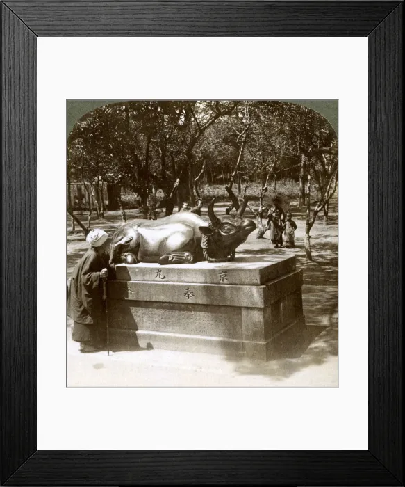 Framed Print : Devout woman stroking a bronze bull to cure rheumatism, Kitano Tenjin temple, Kyoto, Japan, 1904. Artist: Underwood & Underwood