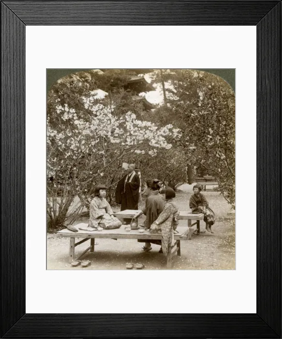 Framed Print : A family enjoying a picnic under the cherry blossoms, Omuro Gosho, Kyoto, Japan, 1904. Artist: Underwood & Underwood Framed Print : A family enjoying a picnic under the cherry blossoms, Omuro Gosho, Kyoto, Japan, 1904. Artist: Underwood & Underwood