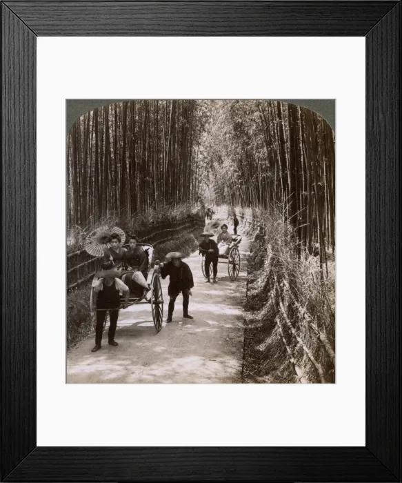Framed Print : Bamboo avenue, looking south-west, near Kiyomizu, Kyoto, Japan, 1904. Artist: Underwood & Underwood Framed Print : Bamboo avenue, looking south-west, near Kiyomizu, Kyoto, Japan, 1904. Artist: Underwood & Underwood