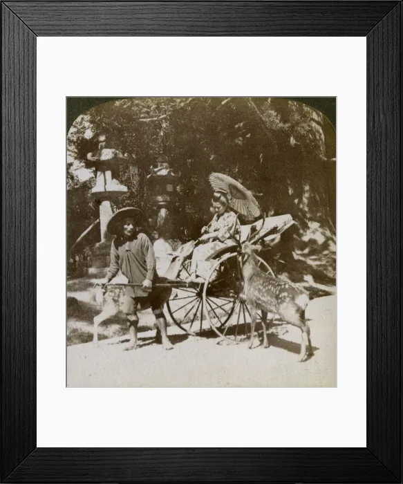 Framed Print : Girl feeding sacred deer on her way to prayers, grounds of Kasuga Temple, Nara, Japan, 1904. Artist: Underwood & Underwood