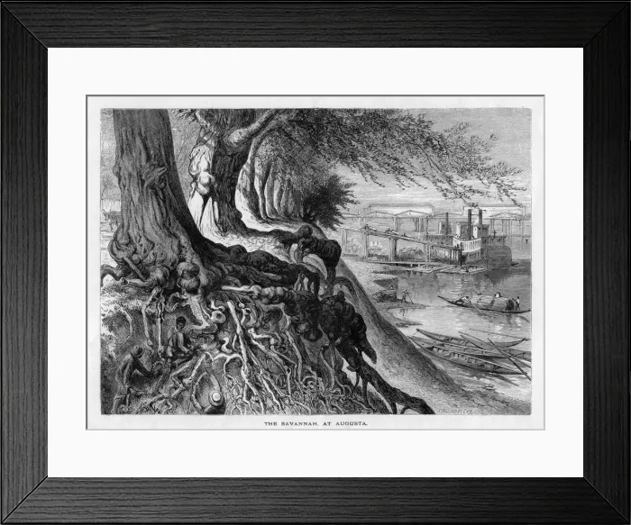 Framed Print : The Savannah, at Augusta, 19th century. Artist: FW Quartley Framed Print : The Savannah, at Augusta, 19th century. Artist: FW Quartley