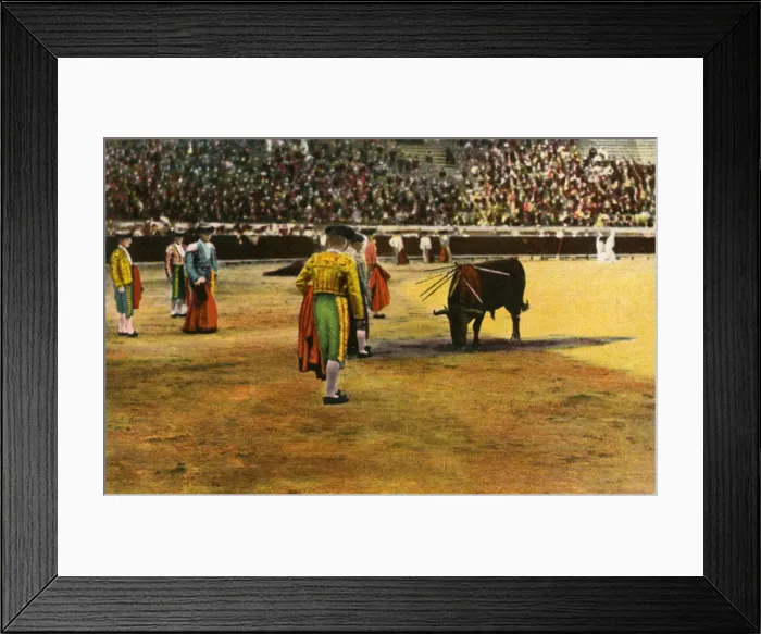 Framed Print : Bull fight, 20th century Framed Print : Bull fight, 20th century