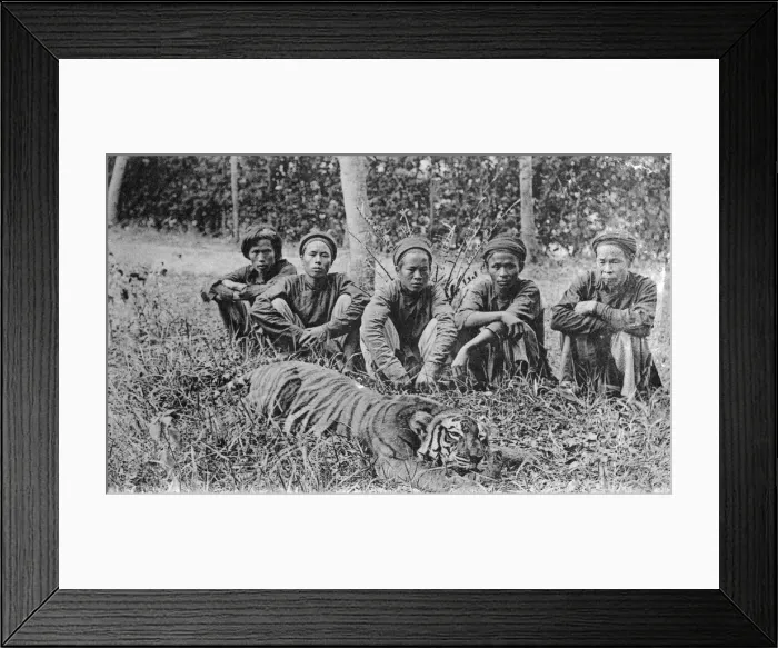 Framed Print : Tiger hunters, Tonkin, Vietnam, 20th century(?) Framed Print : Tiger hunters, Tonkin, Vietnam, 20th century(?)