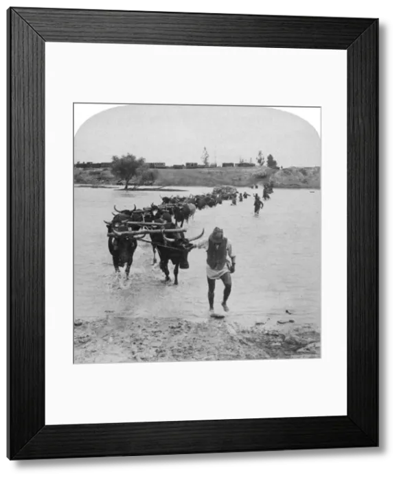 Framed Print : Fording the Modder River, Boer War, South Africa, 15th February 1901. Artist: Underwood & Underwood Framed Print : Fording the Modder River, Boer War, South Africa, 15th February 1901. Artist: Underwood & Underwood