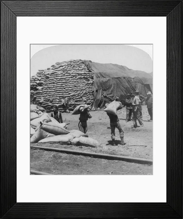 Framed Print : Tons upon tons of oats for Tommys faithful friend, De Aar, South Africa, Boer War, 1900. Artist: Underwood & Underwood Framed Print : Tons upon tons of oats for Tommys faithful friend, De Aar, South Africa, Boer War, 1900. Artist: Underwood & Underwood