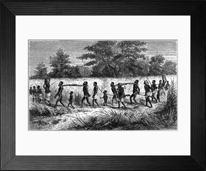 Framed Print : Chained and yoked slaves on the march to the trading station, 1965 Framed Print : Chained and yoked slaves on the march to the trading station, 1965