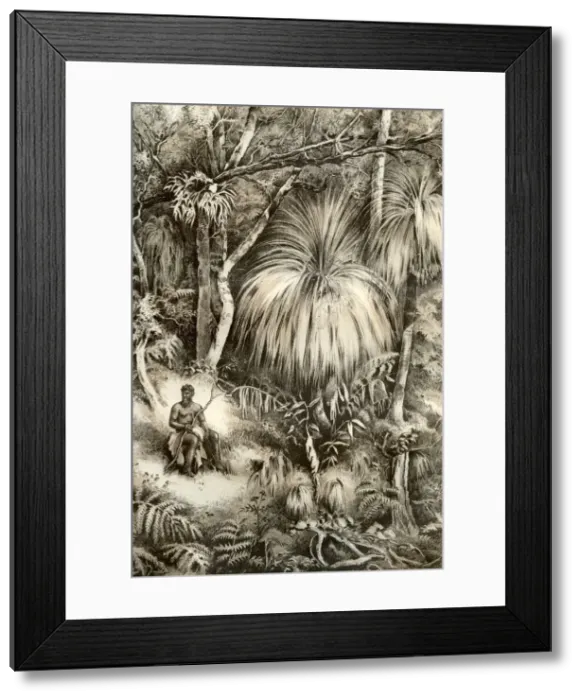 Framed Print : Tasmanian forest scene, 1879. Artist: McFarlane and Erskine Framed Print : Tasmanian forest scene, 1879. Artist: McFarlane and Erskine