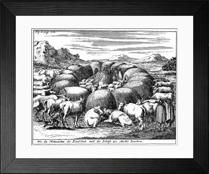 Framed Print : Guarding sheep and cattle at night, South Africa, 18th century (1931) Framed Print : Guarding sheep and cattle at night, South Africa, 18th century (1931)