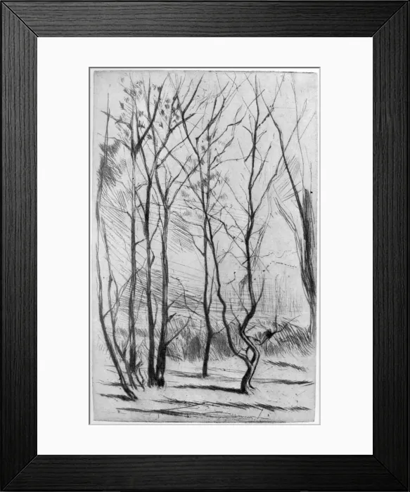 Framed Print : The Dam Wood, c1875 (1904). Artist: James Abbott McNeill Whistler Framed Print : The Dam Wood, c1875 (1904). Artist: James Abbott McNeill Whistler