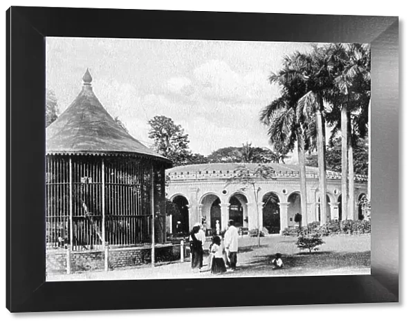 View in the Zoological Gardens, Calcutta, India, early 20th century