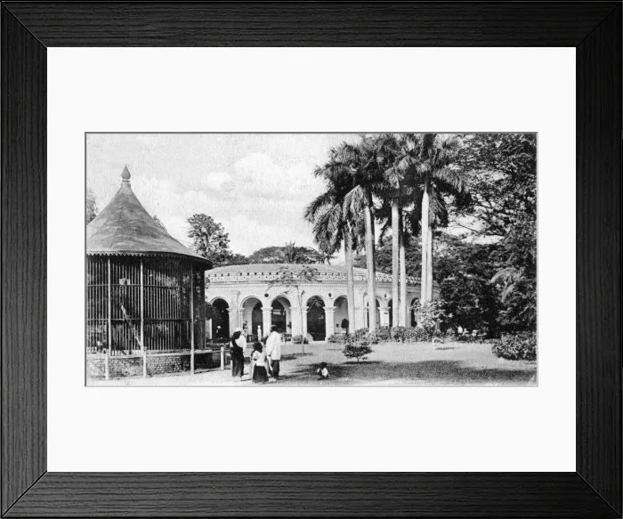 Framed Print : View in the Zoological Gardens, Calcutta, India, early 20th century Framed Print : View in the Zoological Gardens, Calcutta, India, early 20th century