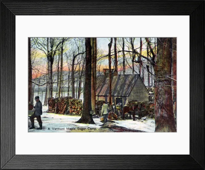 Framed Print : A Vermont maple sugar camp, USA, early 20th century Framed Print : A Vermont maple sugar camp, USA, early 20th century