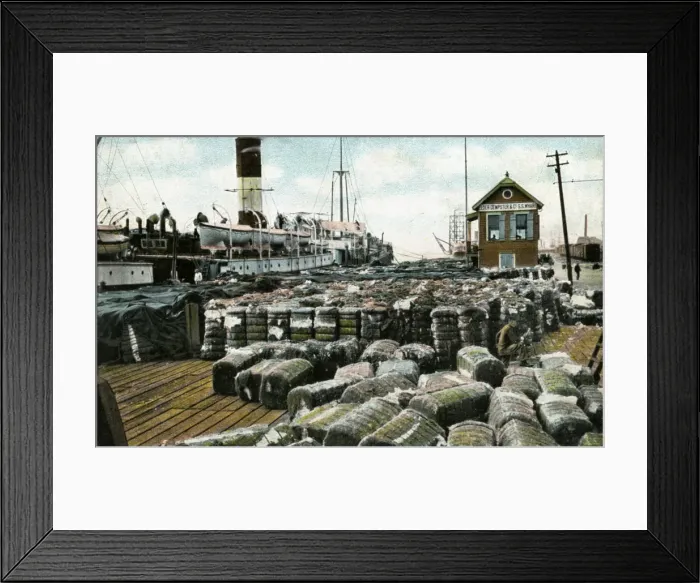 Framed Print : Cotton wharves, New Orleans, Louisiana, USA, early 20th century Framed Print : Cotton wharves, New Orleans, Louisiana, USA, early 20th century