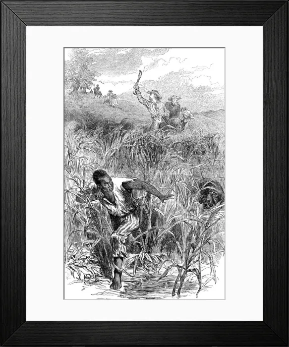 Framed Print : A slave hunt, USA, mid 19th century (c1880) Framed Print : A slave hunt, USA, mid 19th century (c1880)