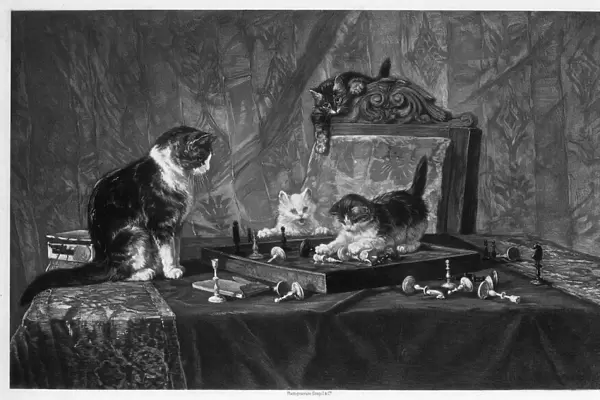 Cats playing with a chessboard. Artist: Goupil and Co