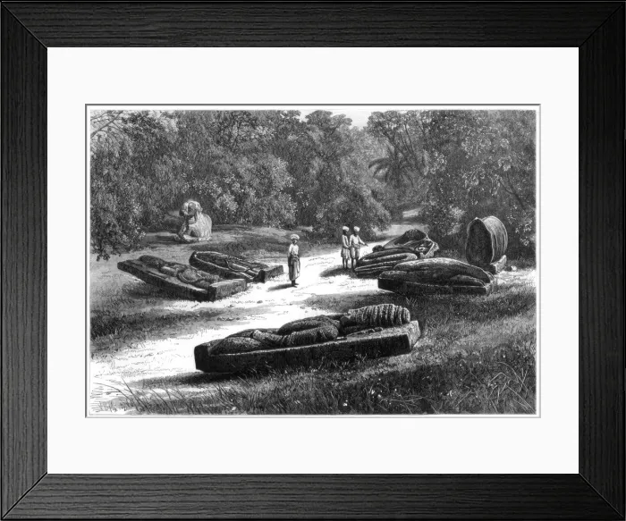 Framed Print : Tombs of the Gond Rajahs, Chanda, central India, 1875 Framed Print : Tombs of the Gond Rajahs, Chanda, central India, 1875