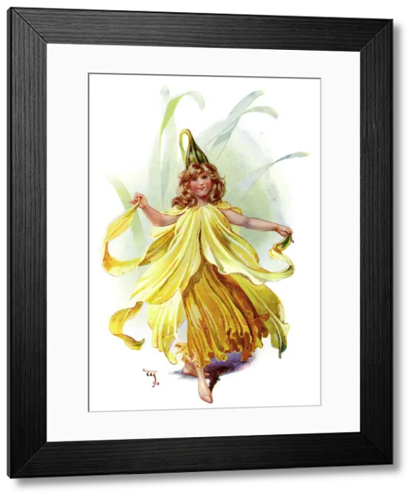 Framed Print : The Daffodil, 1899 Framed Print : The Daffodil, 1899