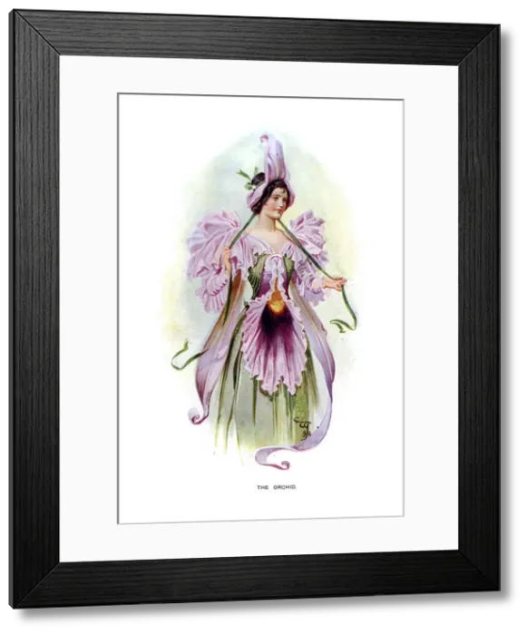 Framed Print : The Orchid, 1899 Framed Print : The Orchid, 1899