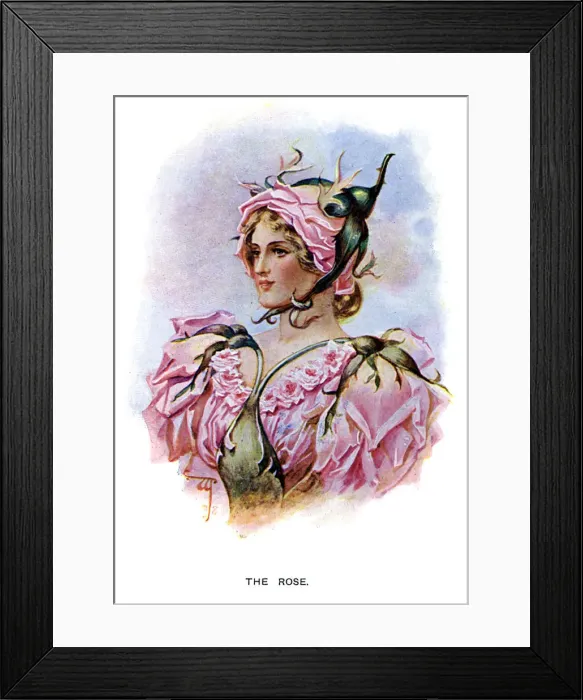 Framed Print : The Rose, 1899 Framed Print : The Rose, 1899