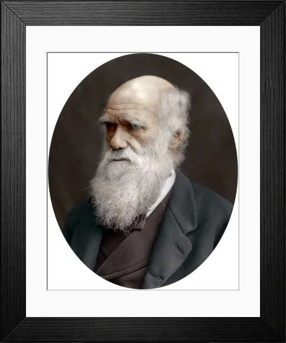 Framed Print : Charles Darwin, British naturalist, 1878 Framed Print : Charles Darwin, British naturalist, 1878