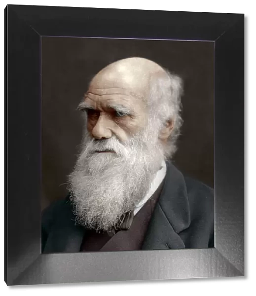 Charles Darwin, British naturalist, 1878