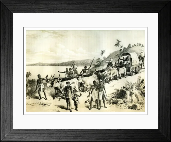 Framed Print : The Arrival at Lake Ngami, 1883 Framed Print : The Arrival at Lake Ngami, 1883