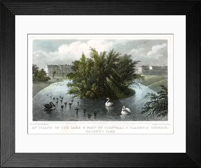 Framed Print : Island on the lake and Part of Cornwall and Clarence Terraces, Regents Park, London, 1828. Artist: William Tombleson Framed Print : Island on the lake and Part of Cornwall and Clarence Terraces, Regents Park, London, 1828. Artist: William Tombleson