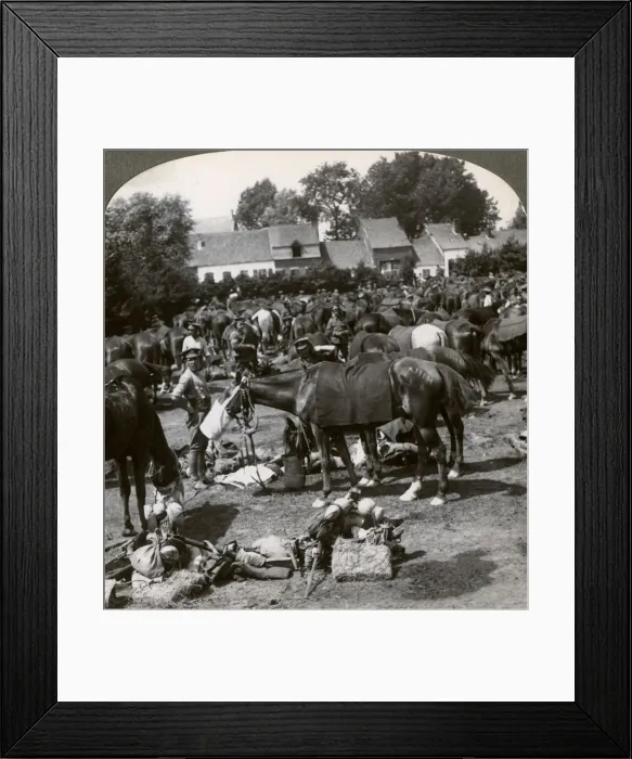 Framed Print : Troops feeding their horses and resting on the march, World War I, 1914-1918. Artist: Realistic Travels Publishers Framed Print : Troops feeding their horses and resting on the march, World War I, 1914-1918. Artist: Realistic Travels Publishers