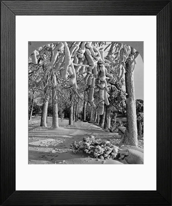Framed Print : Winter scene, Goat Island, Niagara Falls, New York, USA. Artist: Realistic Travels Publishers Framed Print : Winter scene, Goat Island, Niagara Falls, New York, USA. Artist: Realistic Travels Publishers