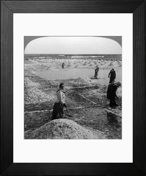 Framed Print : Reservoir after evaporation, turning up the salt fields, Solinen, Russia. Artist: Underwood & Underwood Framed Print : Reservoir after evaporation, turning up the salt fields, Solinen, Russia. Artist: Underwood & Underwood