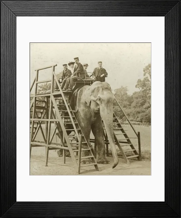 Framed Print : Elephant ride Framed Print : Elephant ride