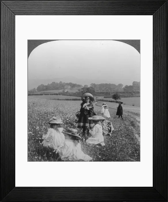 Framed Print : Children in a meadow, Keswick, Cumbria. Artist: Excelsior Stereoscopic Tours Framed Print : Children in a meadow, Keswick, Cumbria. Artist: Excelsior Stereoscopic Tours