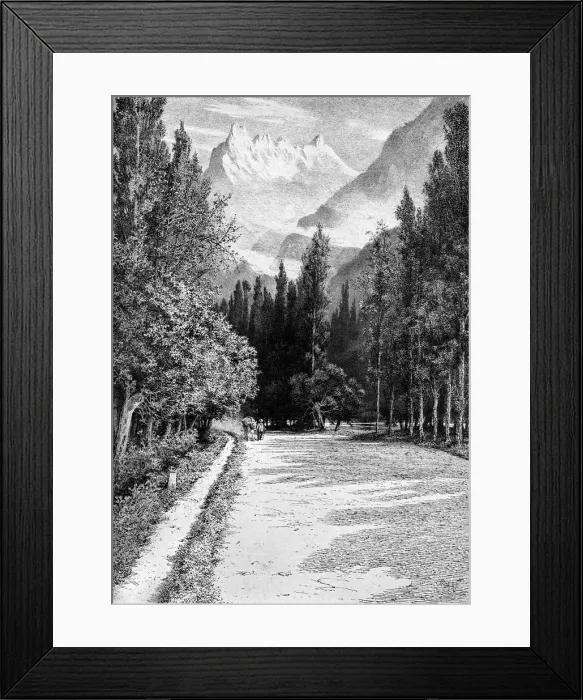 Framed Print : The Dent du Midi from the Valley of the Rhone, 1900 Framed Print : The Dent du Midi from the Valley of the Rhone, 1900