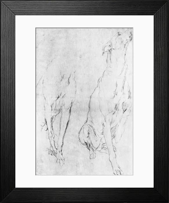 Framed Print : Study for the greyhound in the portrait of the Duke of Richmond, c1634 (1900)