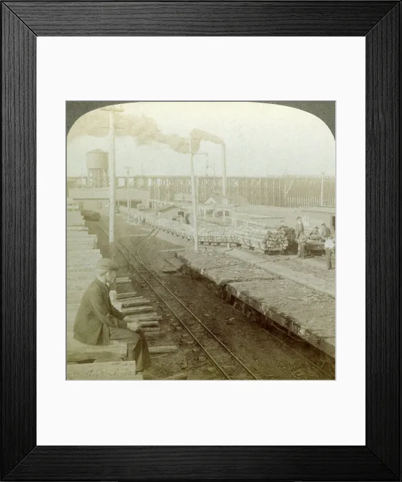 Framed Print : Plant and switchyards of a wood preserving company, Escanaba, Michigan, USA. Artist: Underwood & Underwood Framed Print : Plant and switchyards of a wood preserving company, Escanaba, Michigan, USA. Artist: Underwood & Underwood