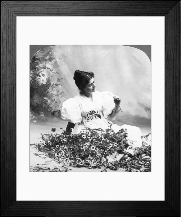 Framed Print : Tell Me Daisy Does He Love Me?. Artist: American Stereoscopic Company Framed Print : Tell Me Daisy Does He Love Me?. Artist: American Stereoscopic Company
