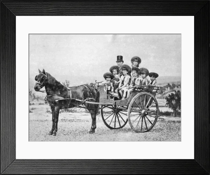 Framed Print : Ferdinand de Lesseps, French diplomat and entrepreneur, 1875 Framed Print : Ferdinand de Lesseps, French diplomat and entrepreneur, 1875