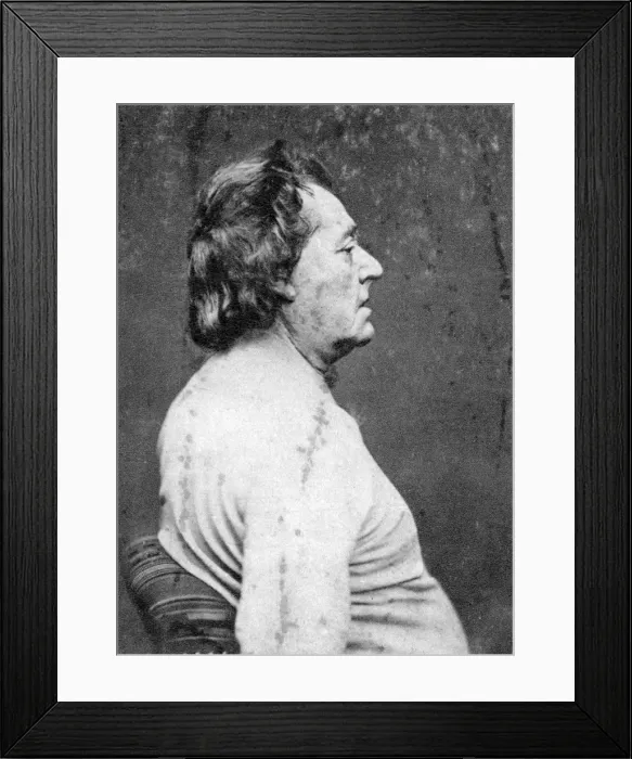 Framed Print : Frederick Lemaitre, French actor and playwright, 1876 Framed Print : Frederick Lemaitre, French actor and playwright, 1876
