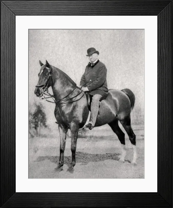 Framed Print : Emile de Girardin, French journalist, publicist and politician, 1866 Framed Print : Emile de Girardin, French journalist, publicist and politician, 1866