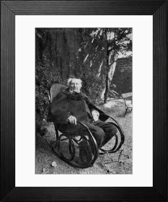 Framed Print : Emile Ollivier, French statesman, 1895 Framed Print : Emile Ollivier, French statesman, 1895