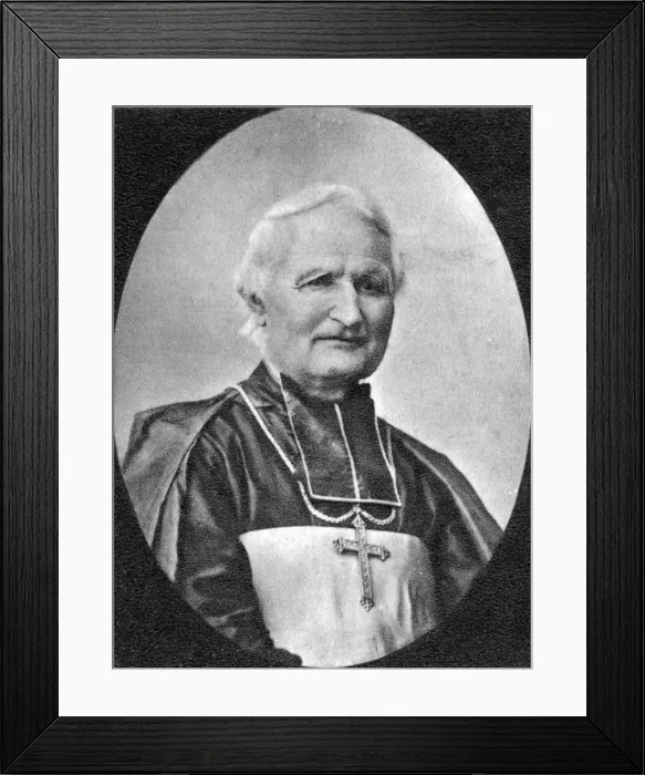 Framed Print : Felix Dupanloup, French clergyman, 19th century Framed Print : Felix Dupanloup, French clergyman, 19th century