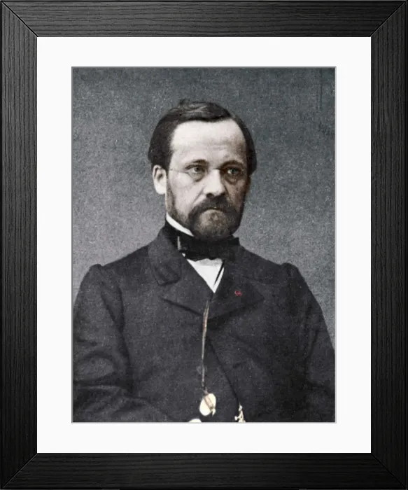 Framed Print : Louis Pasteur, French microbiologist and chemist, 19th century Framed Print : Louis Pasteur, French microbiologist and chemist, 19th century